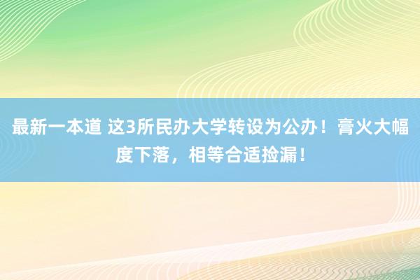最新一本道 这3所民办大学转设为公办！膏火大幅度下落，相等合适捡漏！