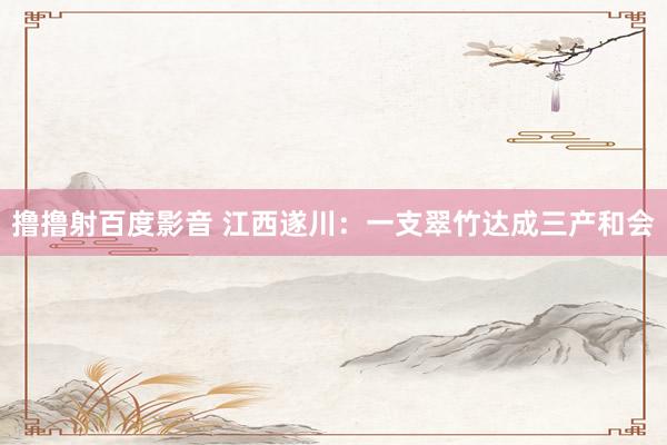 撸撸射百度影音 江西遂川：一支翠竹达成三产和会