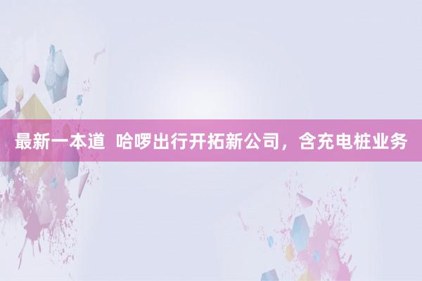 最新一本道  哈啰出行开拓新公司，含充电桩业务