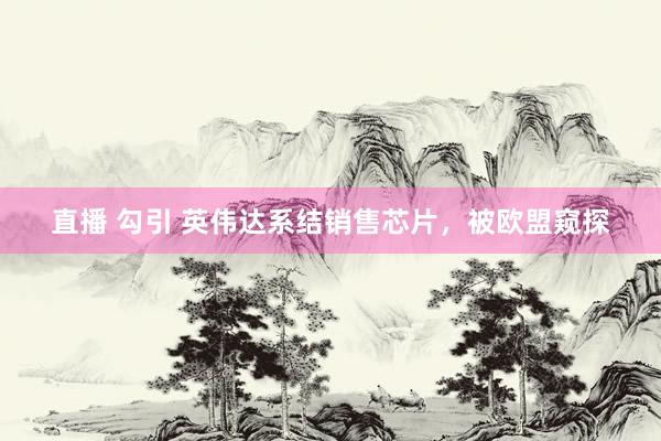 直播 勾引 英伟达系结销售芯片，被欧盟窥探