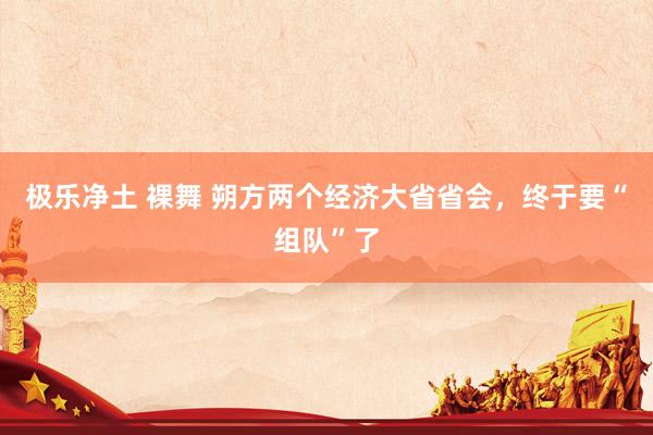 极乐净土 裸舞 朔方两个经济大省省会，终于要“组队”了