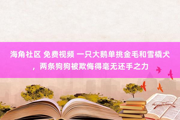 海角社区 免费视频 一只大鹅单挑金毛和雪橇犬，两条狗狗被欺侮得毫无还手之力