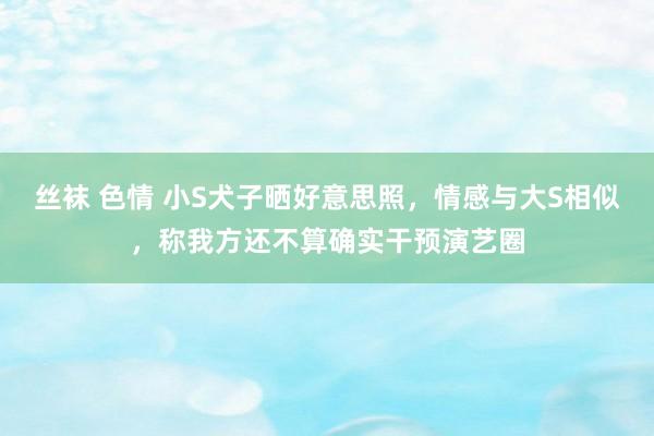 丝袜 色情 小S犬子晒好意思照，情感与大S相似，称我方还不算确实干预演艺圈
